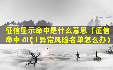 征信显示命中是什么意思（征信命中 🦟 异常风险名单怎么办）